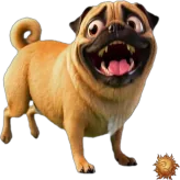 Sticker animado gratis durant el llançament de Pug para WhatsApp