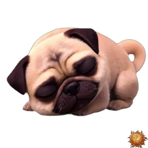 Sticker animado Pug despertando para WhatsApp Sticker animado Pug despertando para WhatsApp - despertar, reacción, expresión