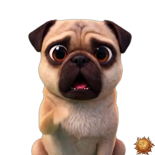 Sticker animado Pug pidiendo silencio para WhatsApp Sticker animado Pug pidiendo silencio para WhatsApp - silencio, reacción, expresión