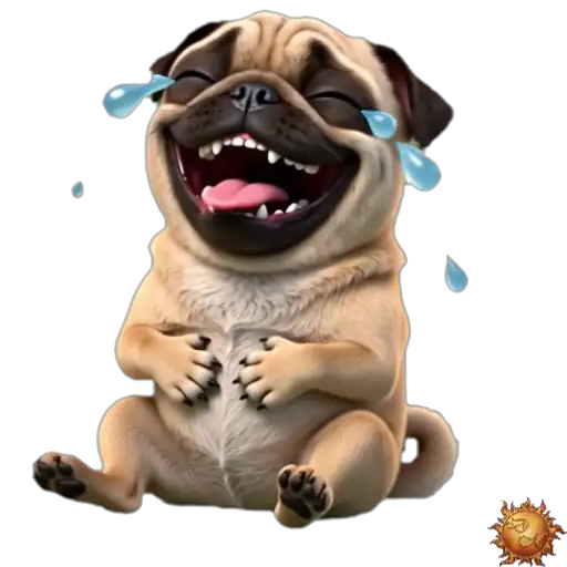 Sticker animado Pug riendo para WhatsApp Sticker animado Pug riendo para WhatsApp - risa, humor, carcajada